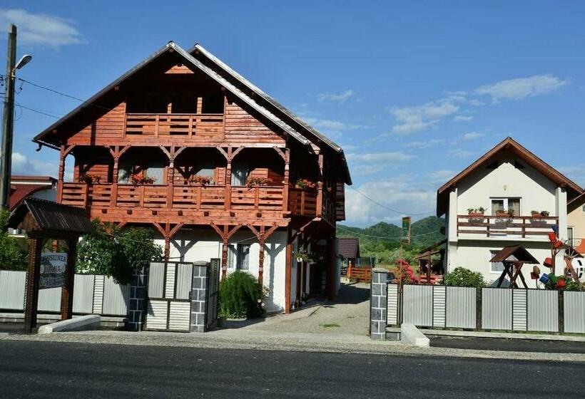 Pension Ioana Lavita