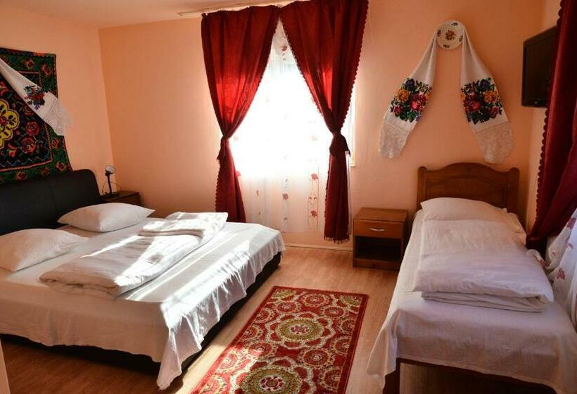 Pension Ioana Lavita