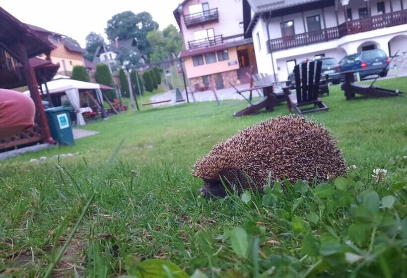 Pensiunea Sarah Bran