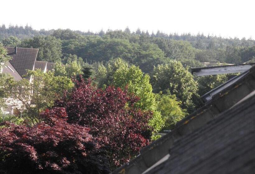 Teska Bed & Breakfast