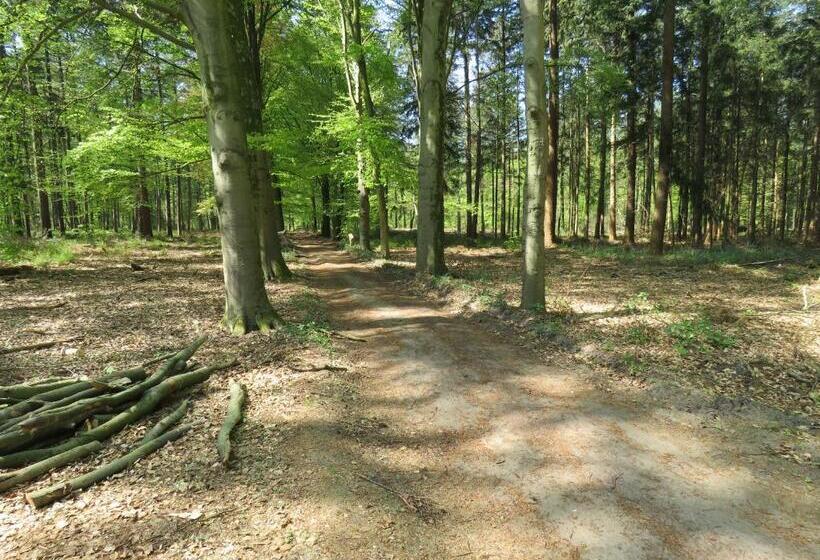 Teska Bed & Breakfast