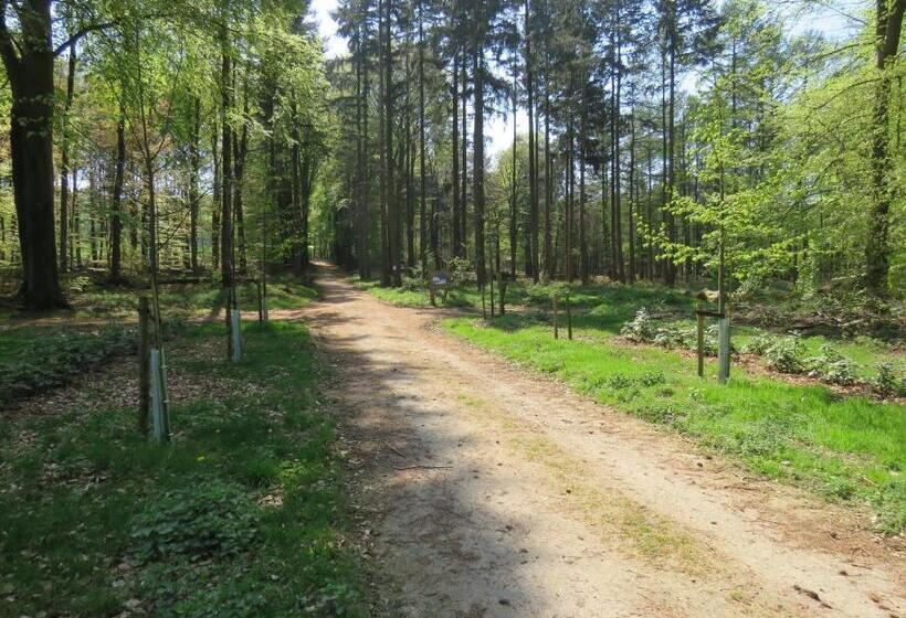 Teska Bed & Breakfast