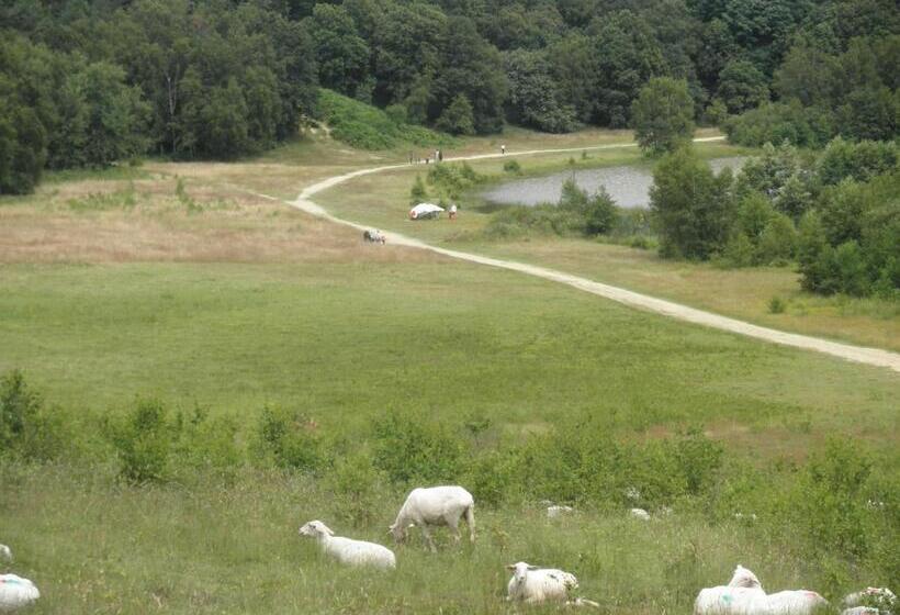 Teska Bed & Breakfast