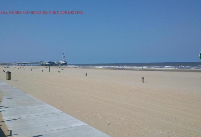 Teska Bed & Breakfast