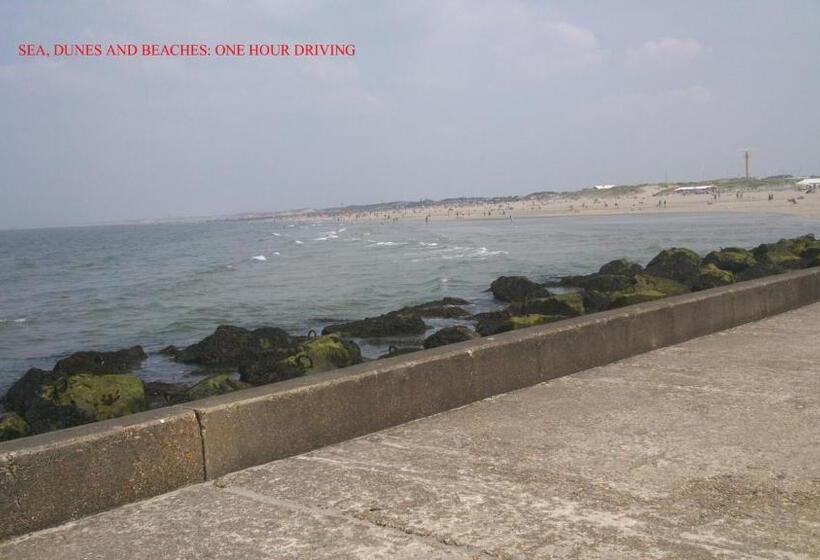 Teska Bed & Breakfast