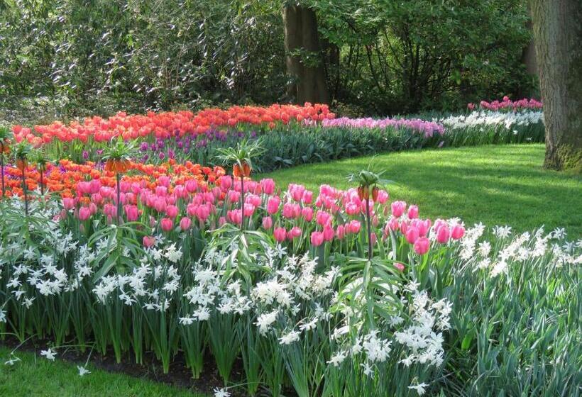 Teska Bed & Breakfast