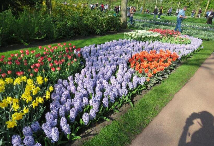 Teska Bed & Breakfast