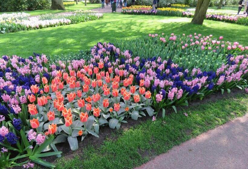 Teska Bed & Breakfast