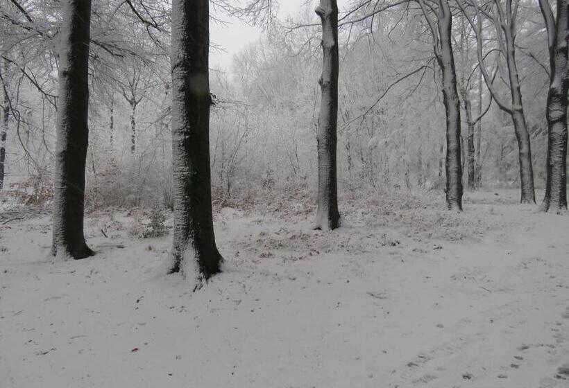 Teska Bed & Breakfast