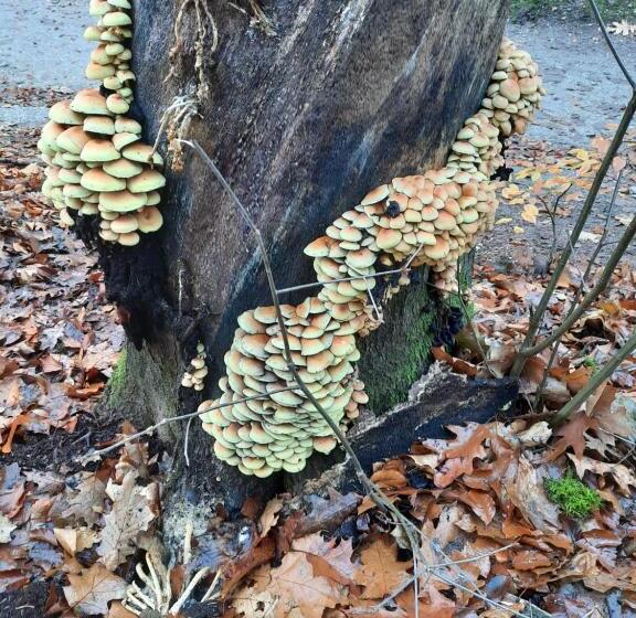 Teska Bed & Breakfast