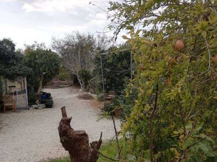 הוסטל Loxandra Inn