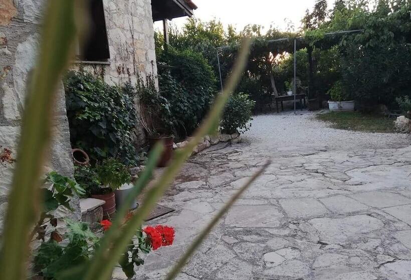 הוסטל Loxandra Inn