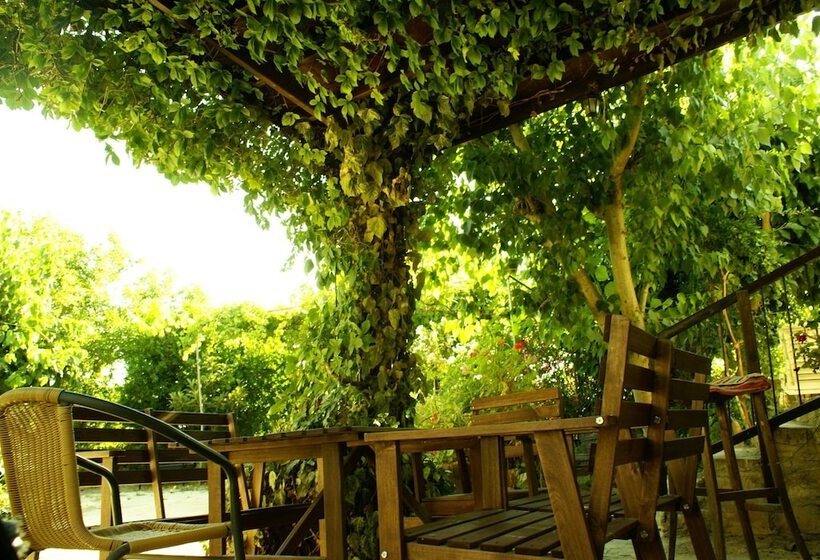 הוסטל Loxandra Inn