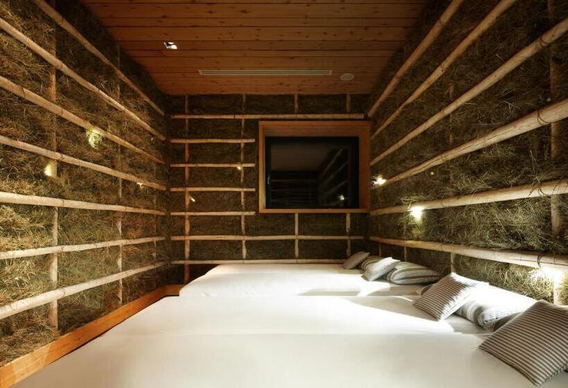 Apartments Heidenberger Delle Scuole