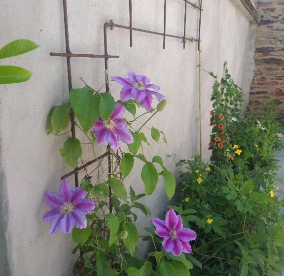 B&b Le Perchoir