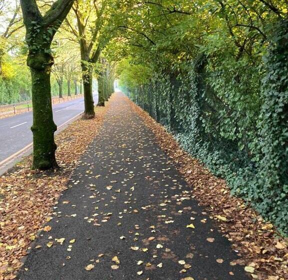 住宿加早餐  Blackrock Carole Ville Guesthouse