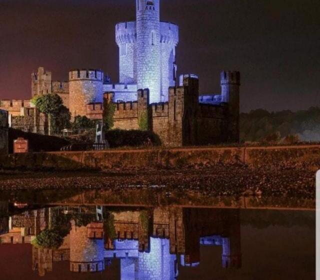 住宿加早餐  Blackrock Carole Ville Guesthouse