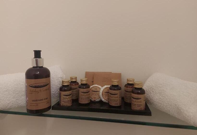 住宿加早餐  Blackrock Carole Ville Guesthouse