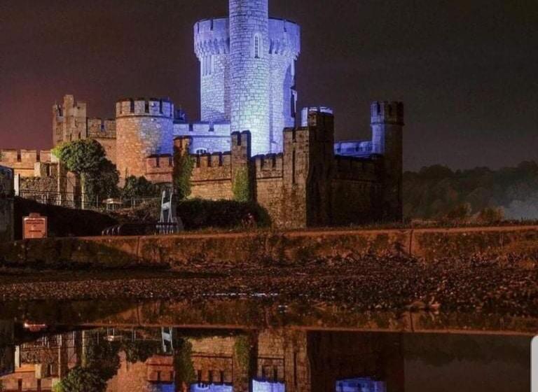 住宿加早餐  Blackrock Carole Ville Guesthouse