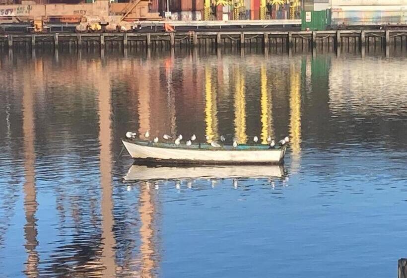 住宿加早餐  Blackrock Carole Ville Guesthouse