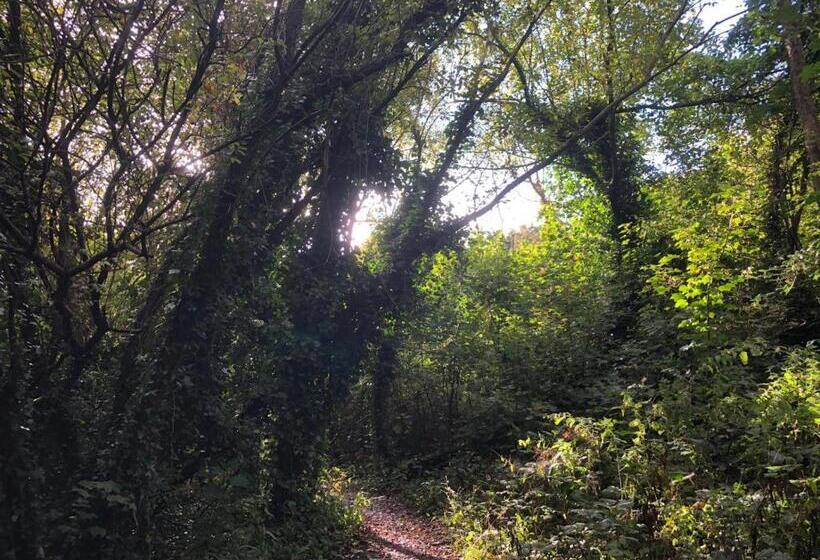 住宿加早餐  Blackrock Carole Ville Guesthouse