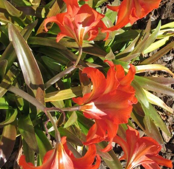 住宿加早餐  Casal Da Eira