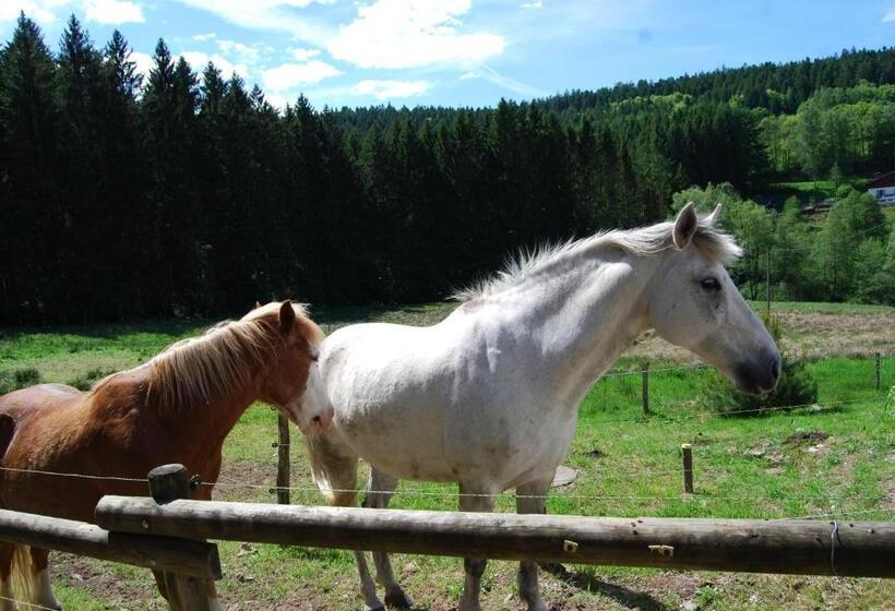 Bed and Breakfast Chambre D Hôtes Kieffer Le Grand Bienfaisy