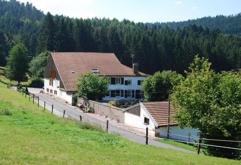 Bed and Breakfast Chambre D Hôtes Kieffer Le Grand Bienfaisy