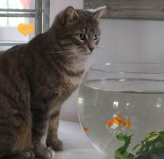 住宿加早餐 Chambres D Hotes Du Port Gautier