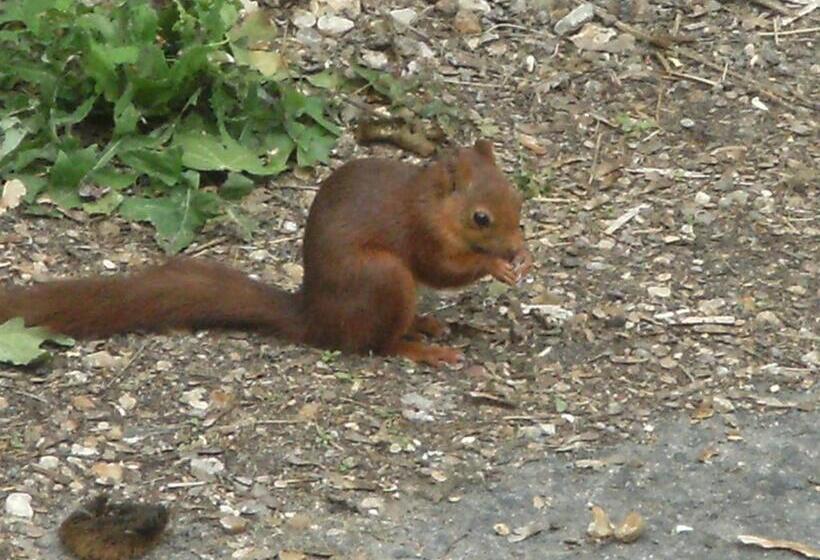 住宿加早餐 Chambres D Hotes Du Port Gautier