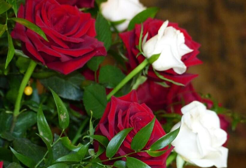 민박 Château Du Grand Jardin