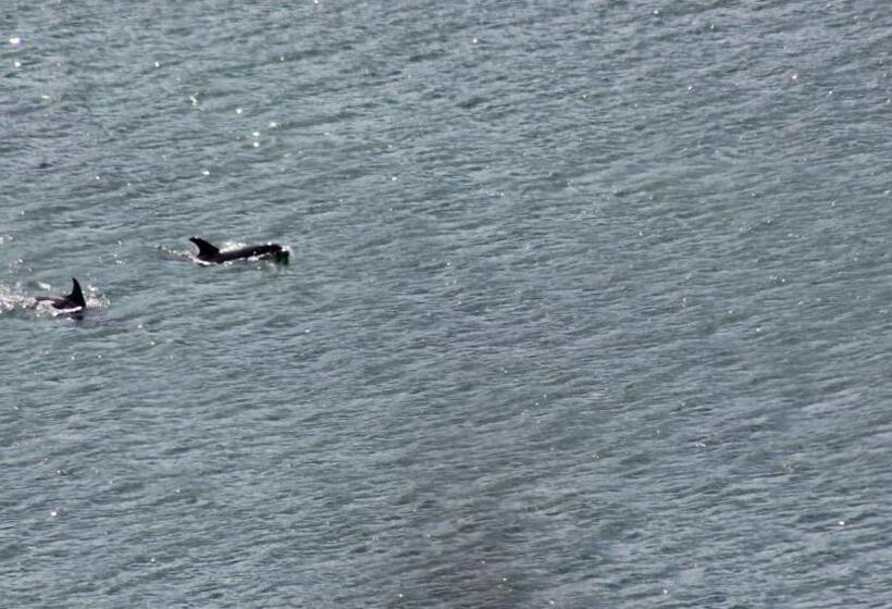 צימר Clifden Bay Lodge