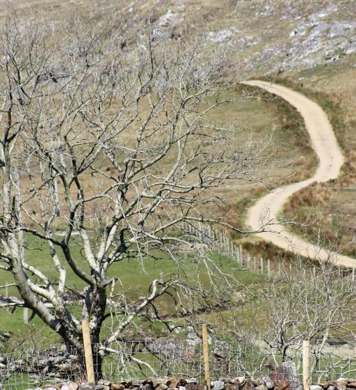 צימר Clifden Bay Lodge