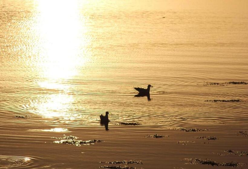 צימר Clifden Bay Lodge