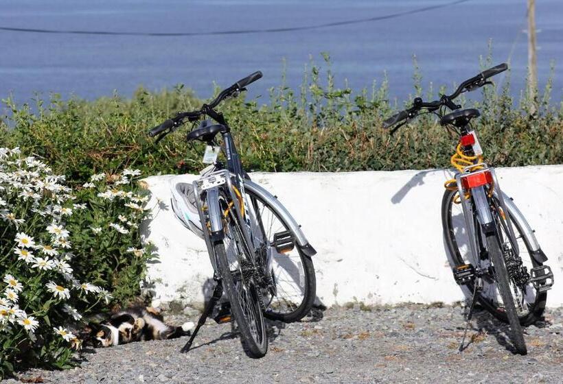 צימר Clifden Bay Lodge