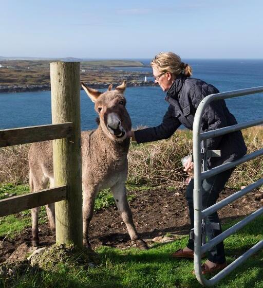 צימר Clifden Bay Lodge
