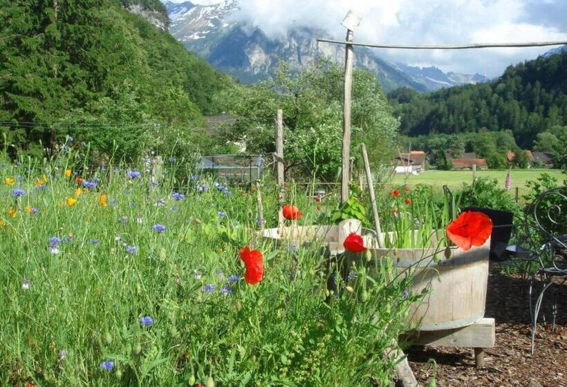 צימר Dunkel Blaue Maus