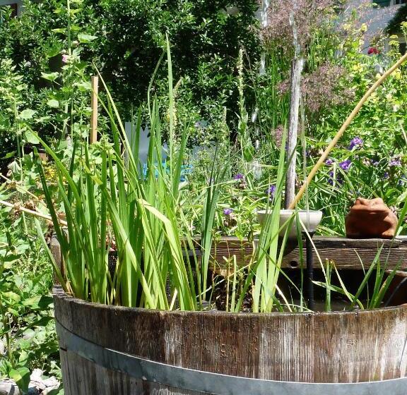 צימר Dunkel Blaue Maus