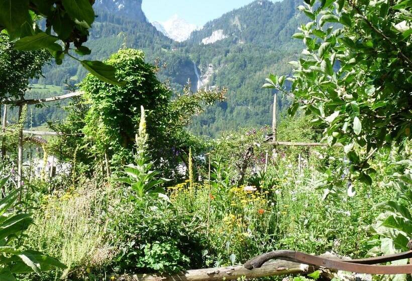 צימר Dunkel Blaue Maus