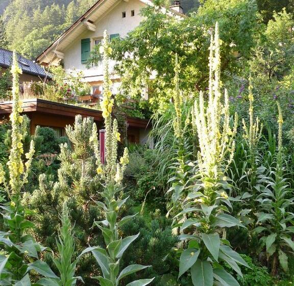 צימר Dunkel Blaue Maus