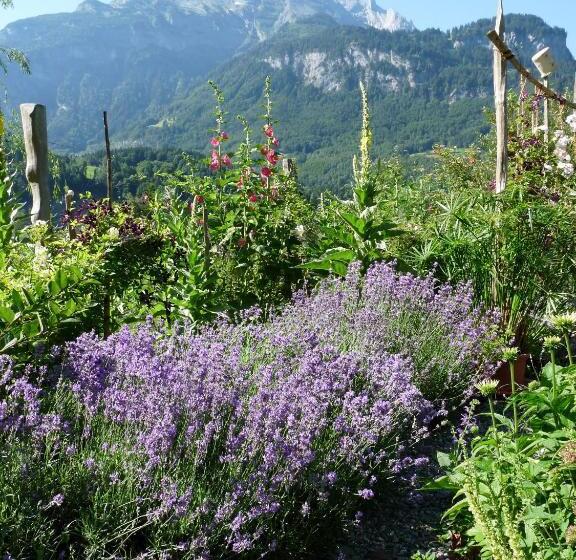 צימר Dunkel Blaue Maus