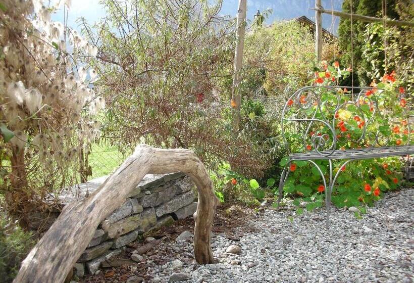 צימר Dunkel Blaue Maus