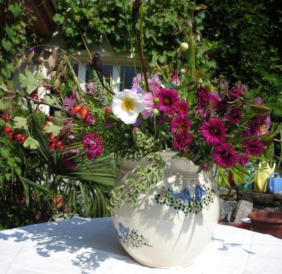 צימר Dunkel Blaue Maus