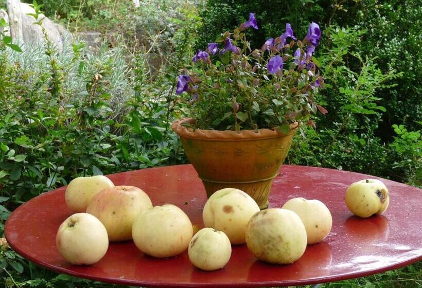 צימר Dunkel Blaue Maus