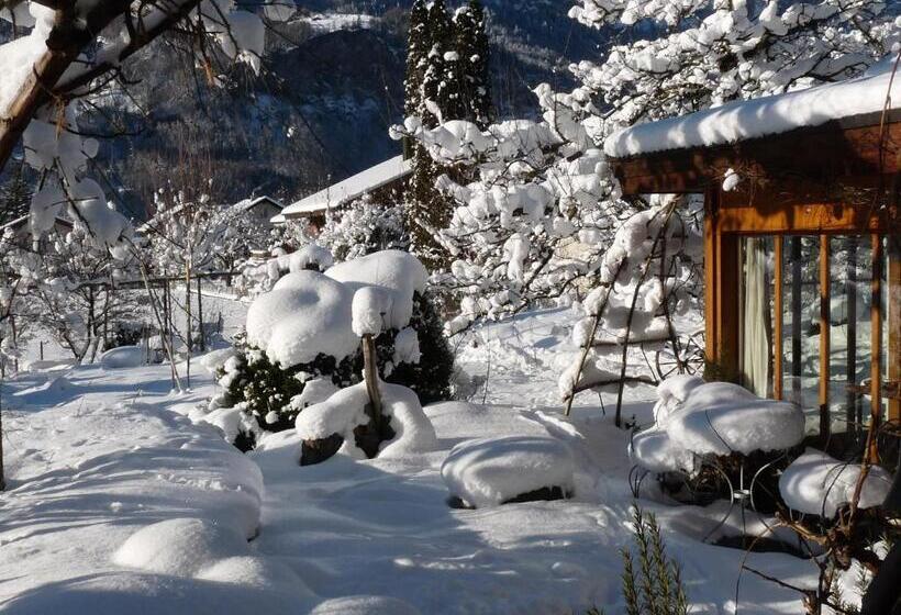 צימר Dunkel Blaue Maus