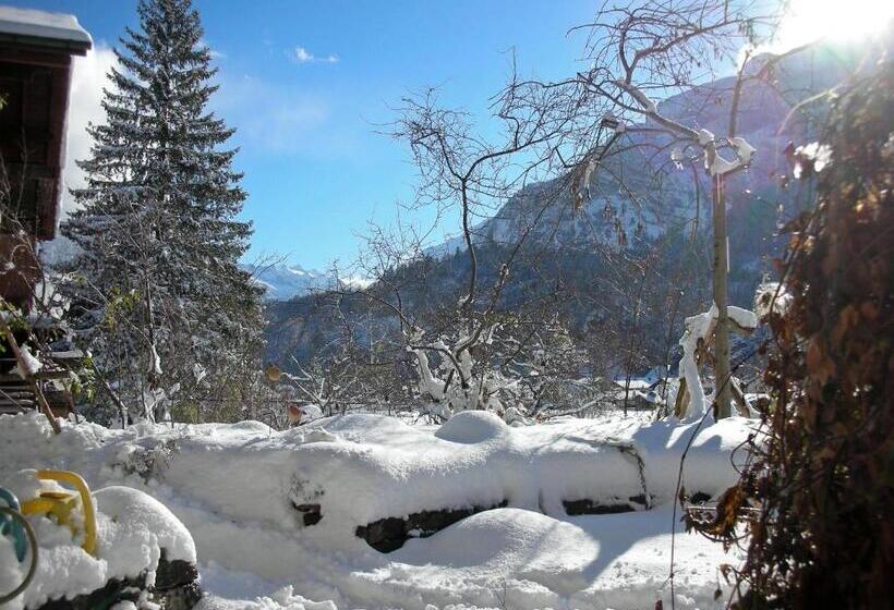 צימר Dunkel Blaue Maus