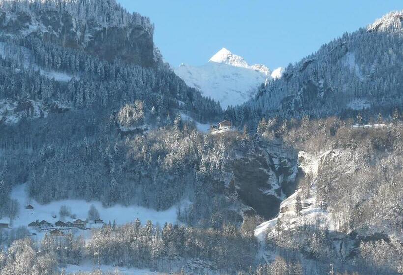 צימר Dunkel Blaue Maus