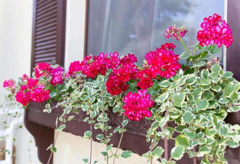 민박 Fészek Fogadó   Pension Nest