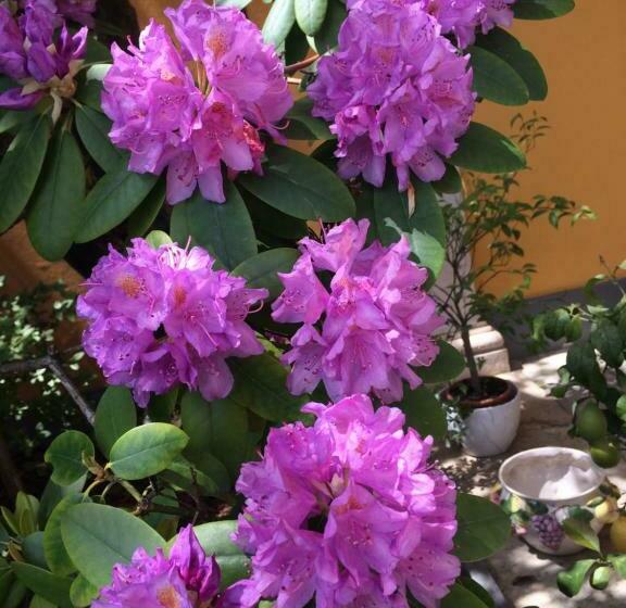 민박 Castello Di Brusata Apartment By Quokka 360   Romantic Flat With Pool