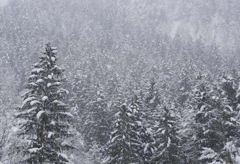 住宿加早餐  Haus Josef